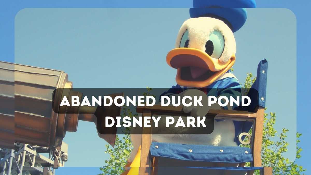 Abandoned Duck Pond Disney Park