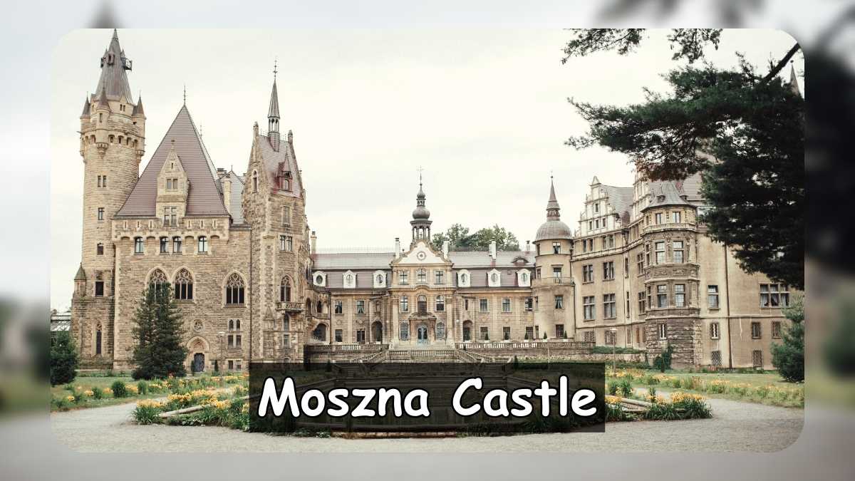 cultural events at Moszna Castle