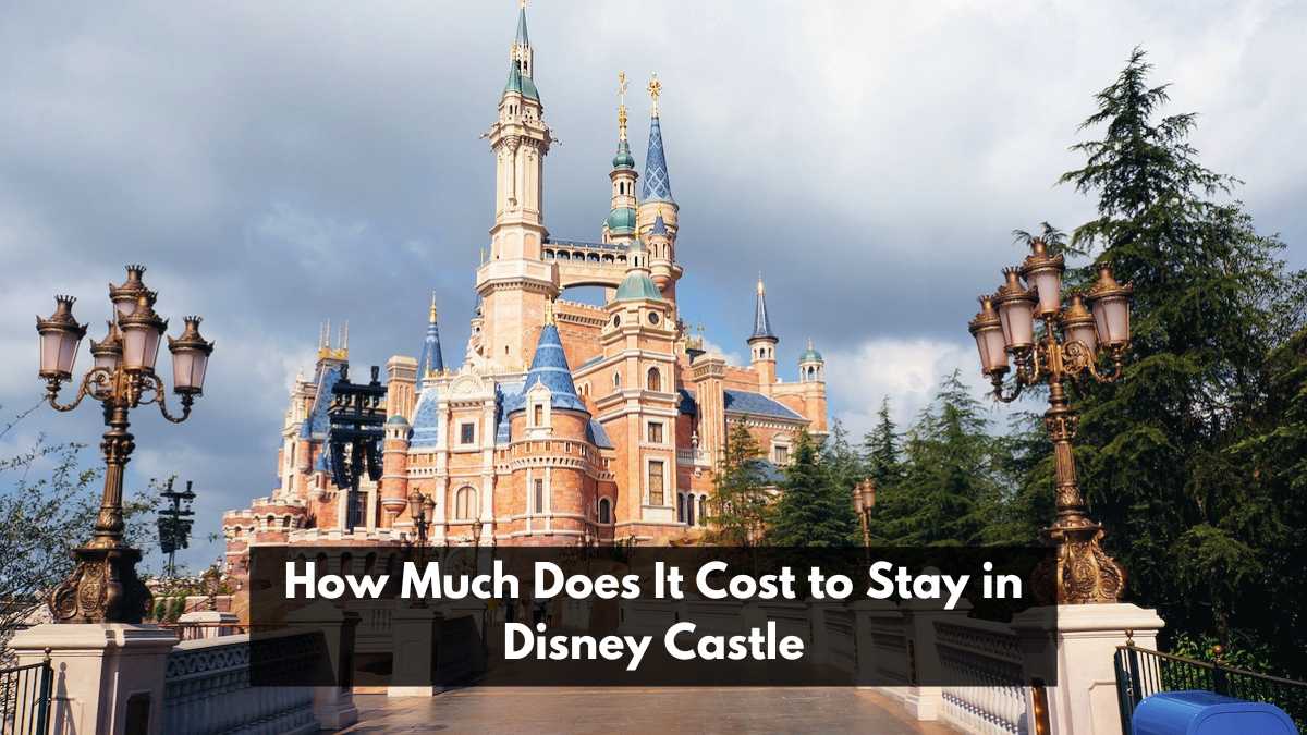 How Much Does It Cost to Stay in Disney Castle