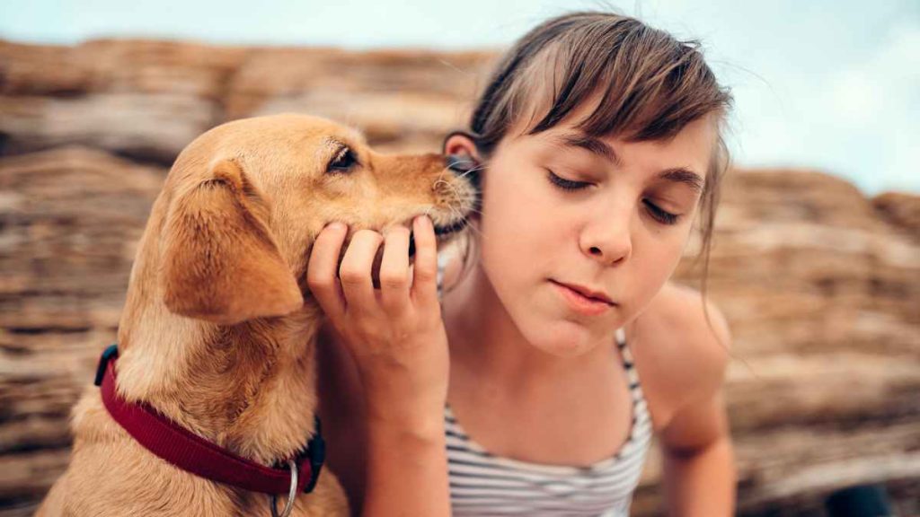 Why Does My Dog Sniff My Ears? All the details (2023)