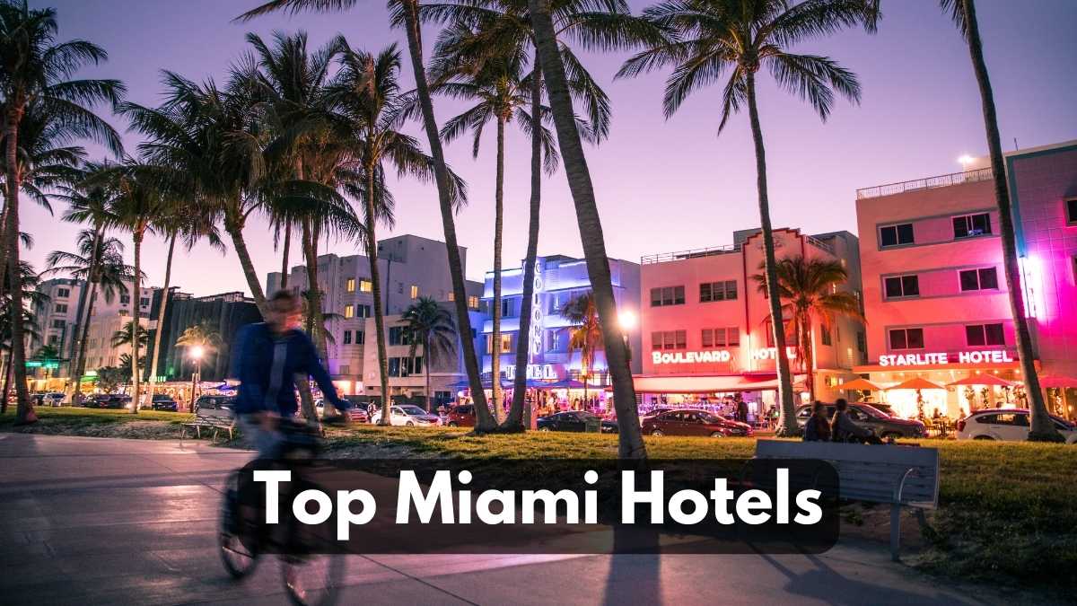 Top Miami Hotels