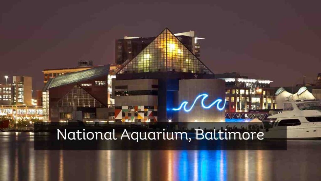 National Aquarium, Baltimore