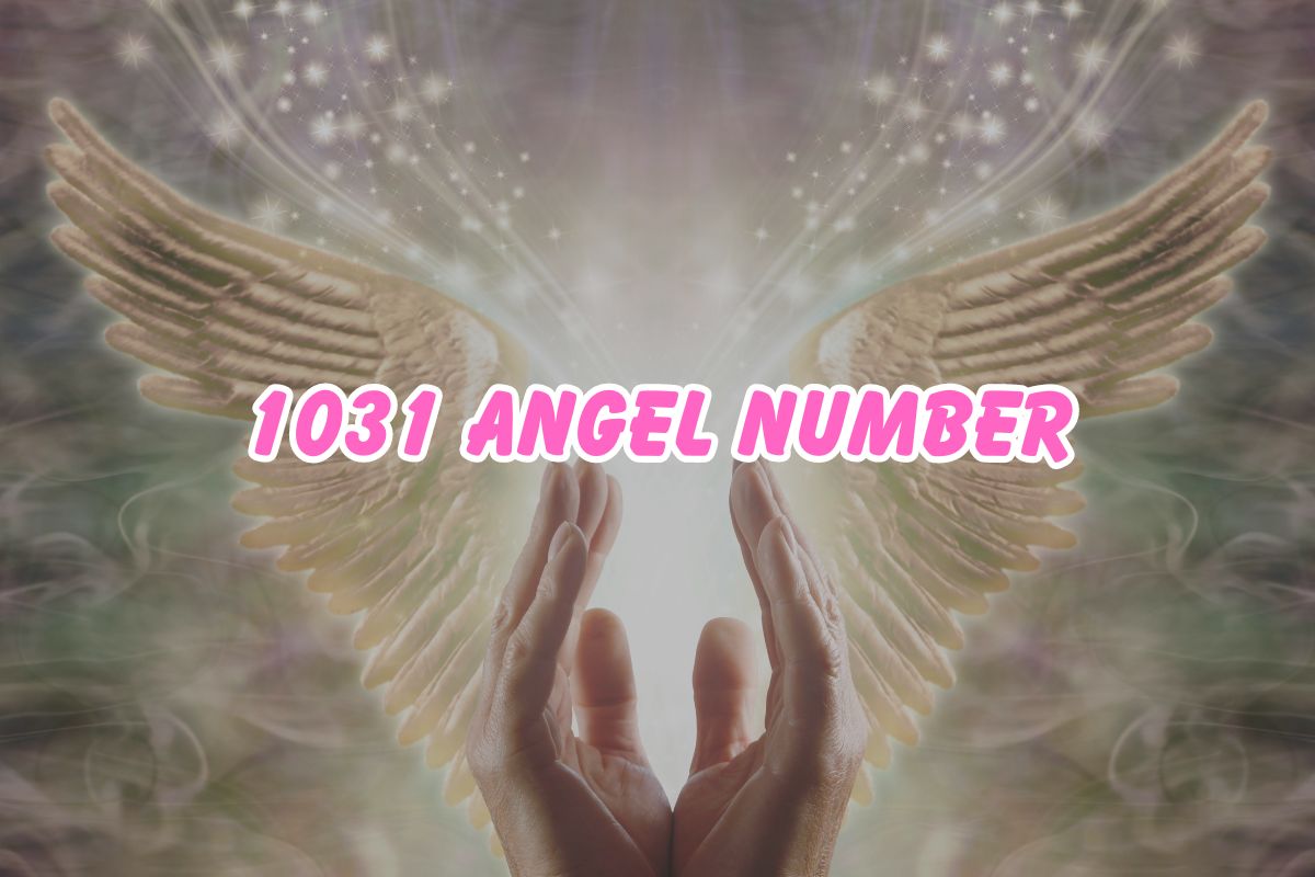 1031 Angel Number