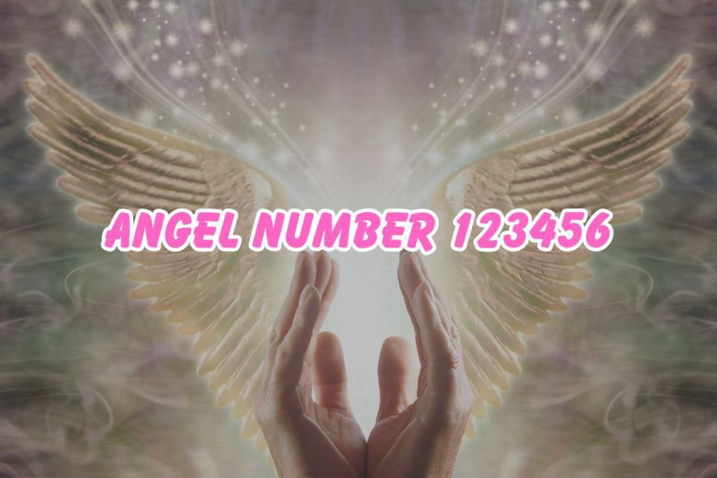 Angel Number 123456
