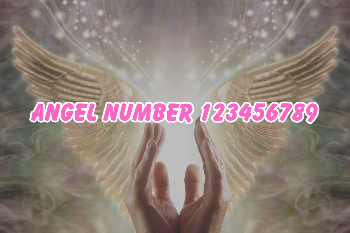 Angel Number 123456789