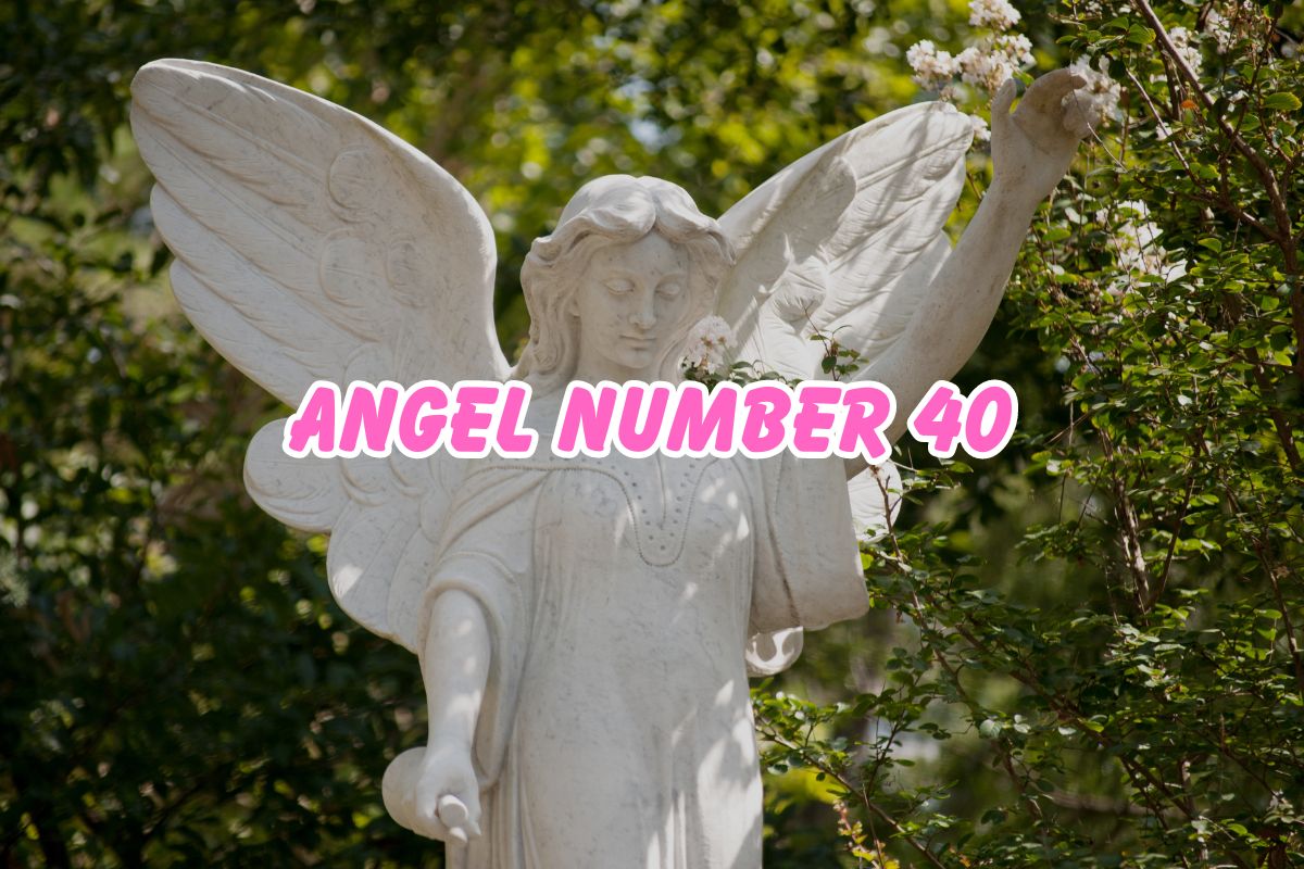 Angel Number 40