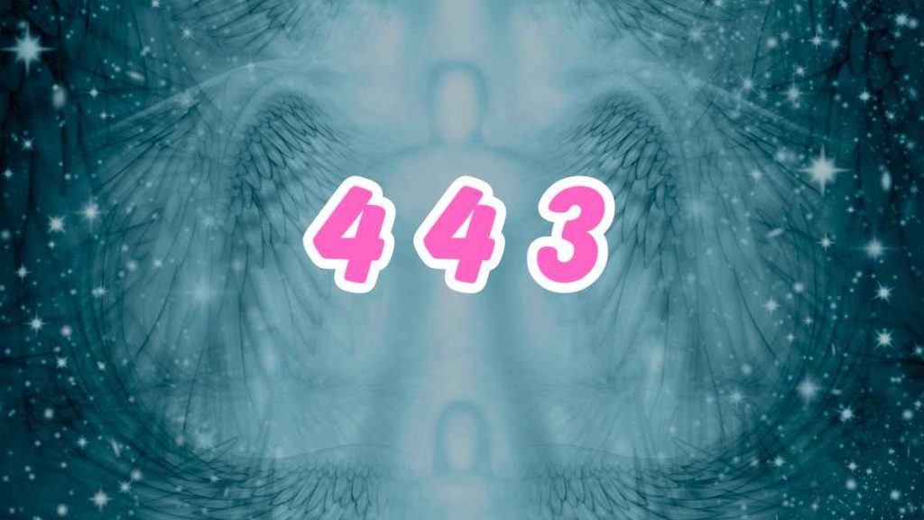 Angel Number 443
