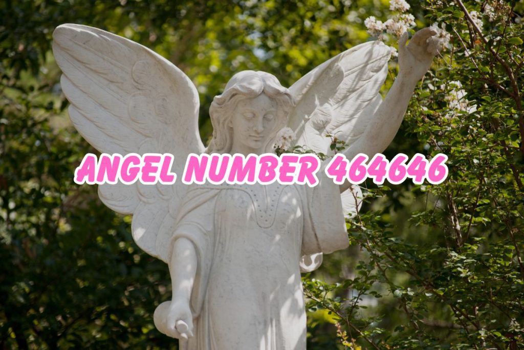 Angel Number 464646