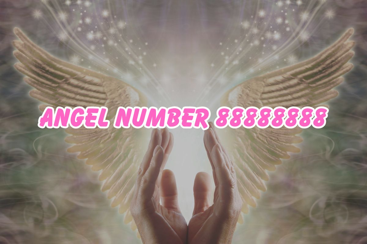 Angel Number 88888888