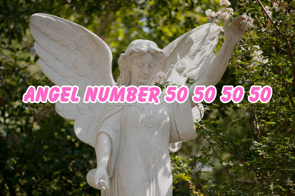 Angel Number 50505050