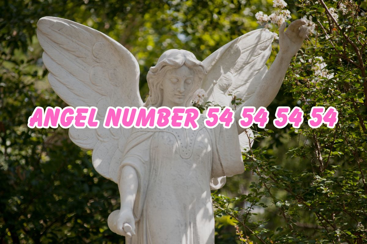 Angel Number 54545454
