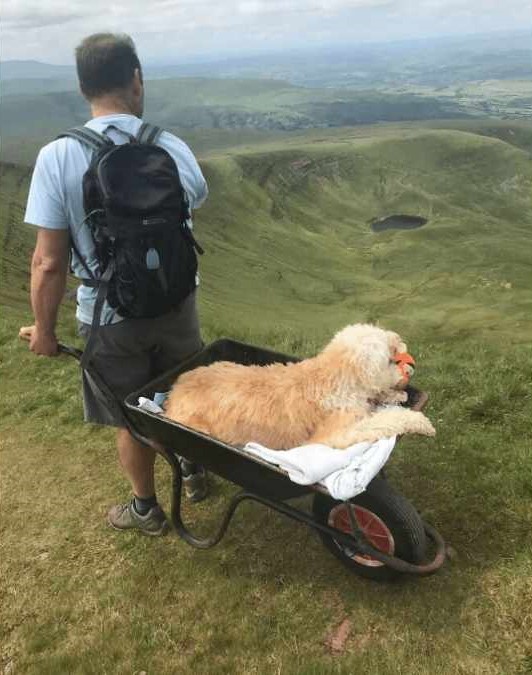 The Heartwarming Story of a Man Taking His Dog on Their Final Adventure