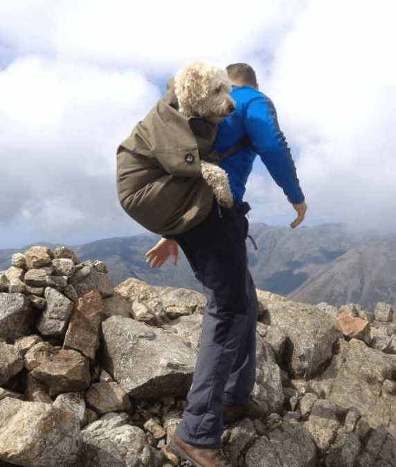 The Heartwarming Story of a Man Taking His Dog on Their Final Adventure